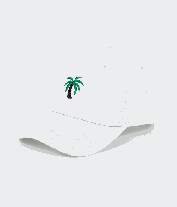 Palm Tree. tootau